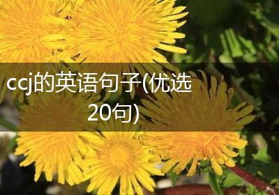 ccj的英语句子(优选20句)