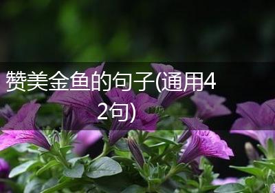 赞美金鱼的句子(通用42句)