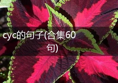 cyc的句子(合集60句)