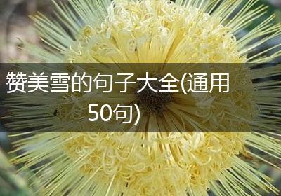 赞美雪的句子大全(通用50句)