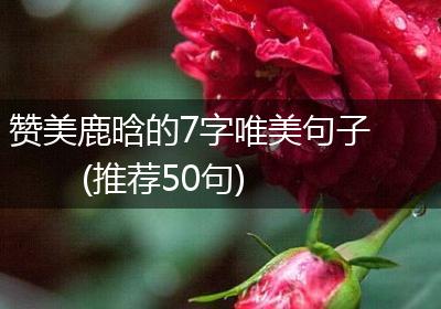 赞美鹿晗的7字唯美句子(推荐50句)