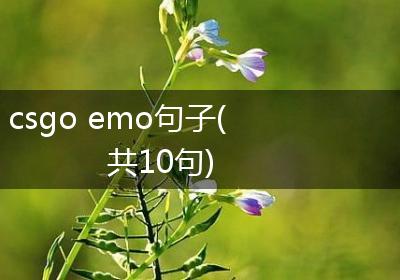 csgo emo句子(共10句)