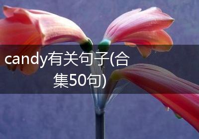 candy有关句子(合集50句)