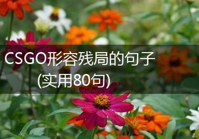 CSGO形容残局的句子(实用80句)