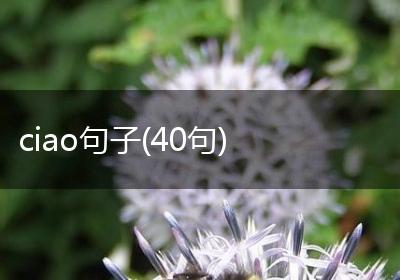 ciao句子(40句)