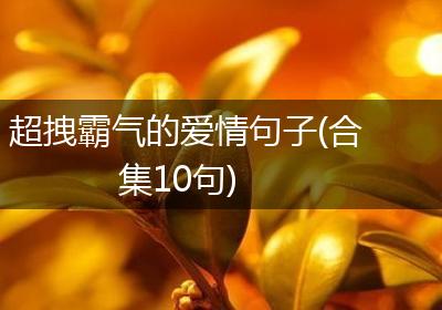 超拽霸气的爱情句子(合集10句)