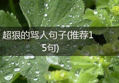 超狠的骂人句子(推荐15句)