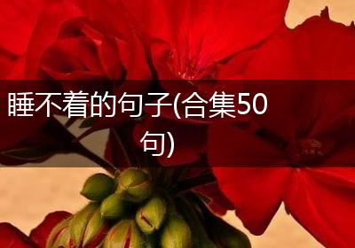 睡不着的句子(合集50句)