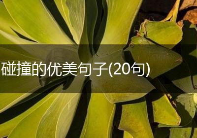 碰撞的优美句子(20句)