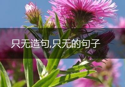 只无造句,只无的句子