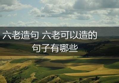 六老造句 六老可以造的句子有哪些