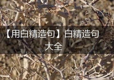 【用白精造句】白精造句大全
