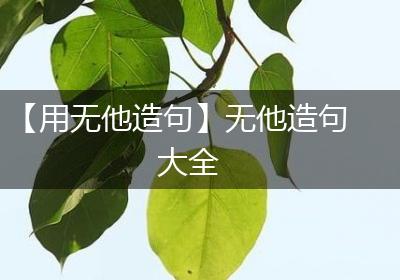 【用无他造句】无他造句大全