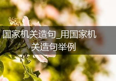 国家机关造句_用国家机关造句举例