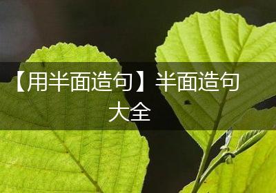 【用半面造句】半面造句大全