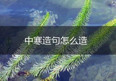 中寒造句怎么造