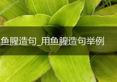 鱼腥造句_用鱼腥造句举例