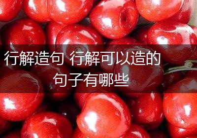 行解造句 行解可以造的句子有哪些