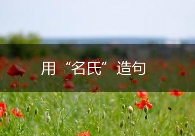 用“名氏”造句
