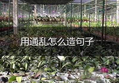 用通乱怎么造句子