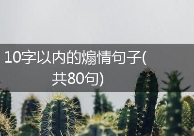 10字以内的煽情句子(共80句)