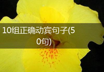 10组正确动宾句子(50句)