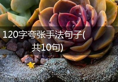 120字夸张手法句子(共10句)