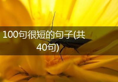 100句很短的句子(共40句)