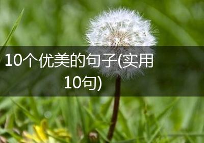 10个优美的句子(实用10句)