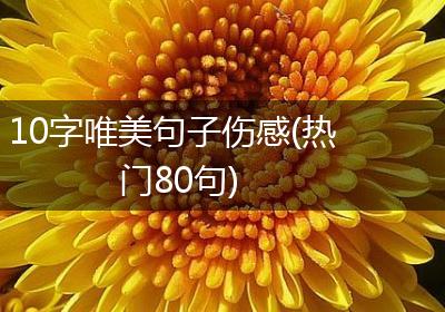 10字唯美句子伤感(热门80句)