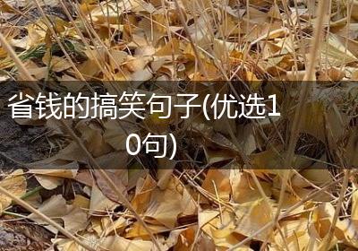 省钱的搞笑句子(优选10句)