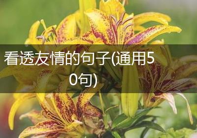 看透友情的句子(通用50句)