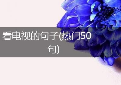看电视的句子(热门50句)