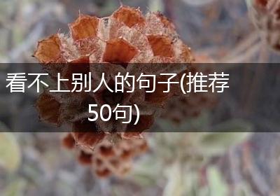 看不上别人的句子(推荐50句)
