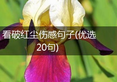 看破红尘伤感句子(优选20句)