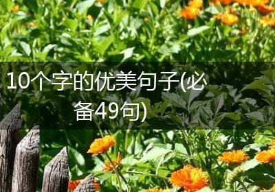 10个字的优美句子(必备49句)