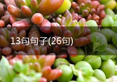 13句句子(26句)