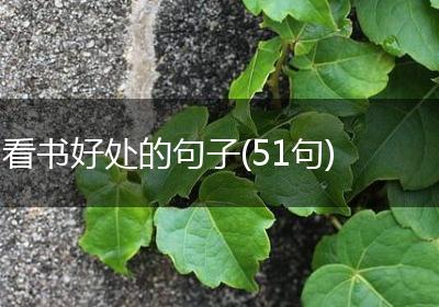 看书好处的句子(51句)