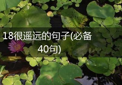 18很遥远的句子(必备40句)