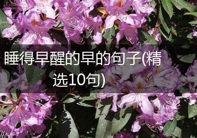 睡得早醒的早的句子(精选10句)