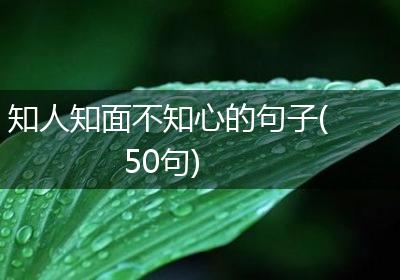 知人知面不知心的句子(50句)