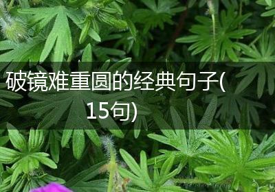 破镜难重圆的经典句子(15句)