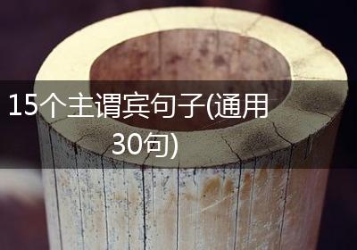 15个主谓宾句子(通用30句)