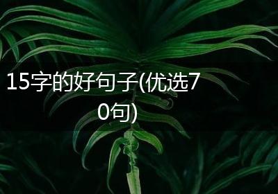 15字的好句子(优选70句)