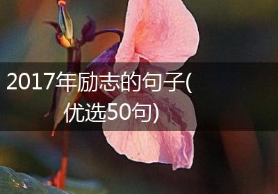2017年励志的句子(优选50句)