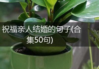 祝福亲人结婚的句子(合集50句)