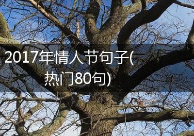 2017年情人节句子(热门80句)