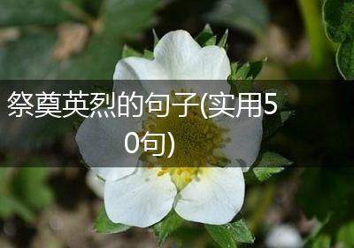 祭奠英烈的句子(实用50句)