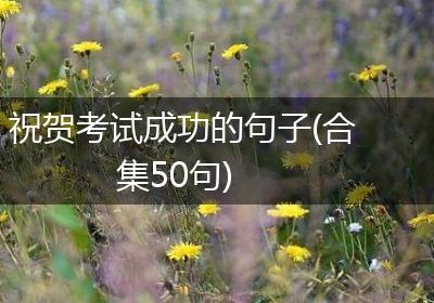 祝贺考试成功的句子(合集50句)