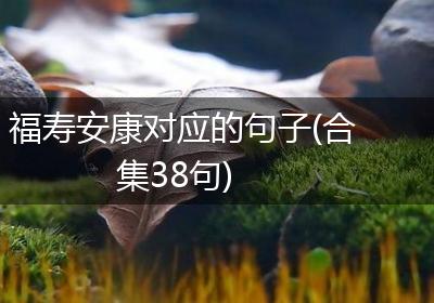 福寿安康对应的句子(合集38句)